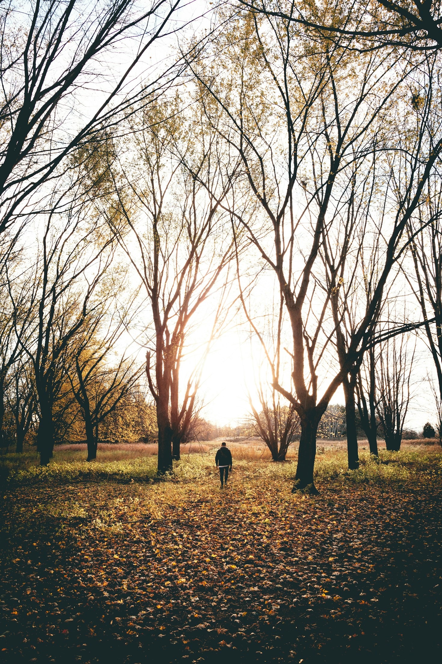 Como Reacender a Chama da Paixão aos 40